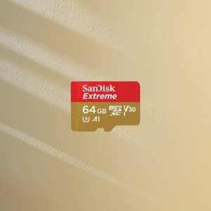 Carte Micro SD pour PARALENZ