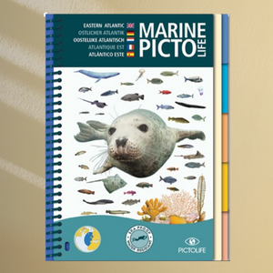 Marine Pictolife Atlantique