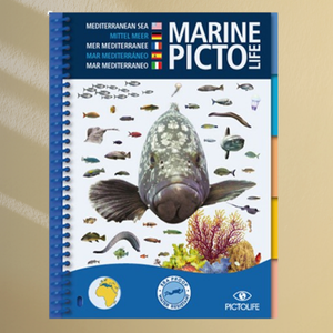 Marine Pictolife Méditerranée