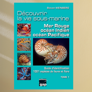 Découvrir la vie sous-marine