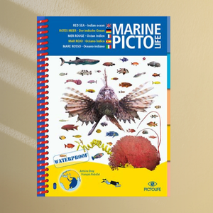 Marine Pictolife Mer Rouge