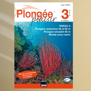 Plongée plaisir N3